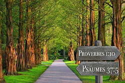 Intro Image of Bible Quote Signs from Pixabay